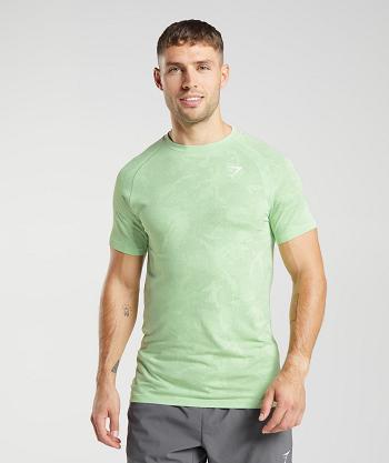 Gymshark Geo Seamless Muške T Shirts Zelene Zelene | HR 2485RVD